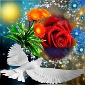 Meet your Posher, Norma